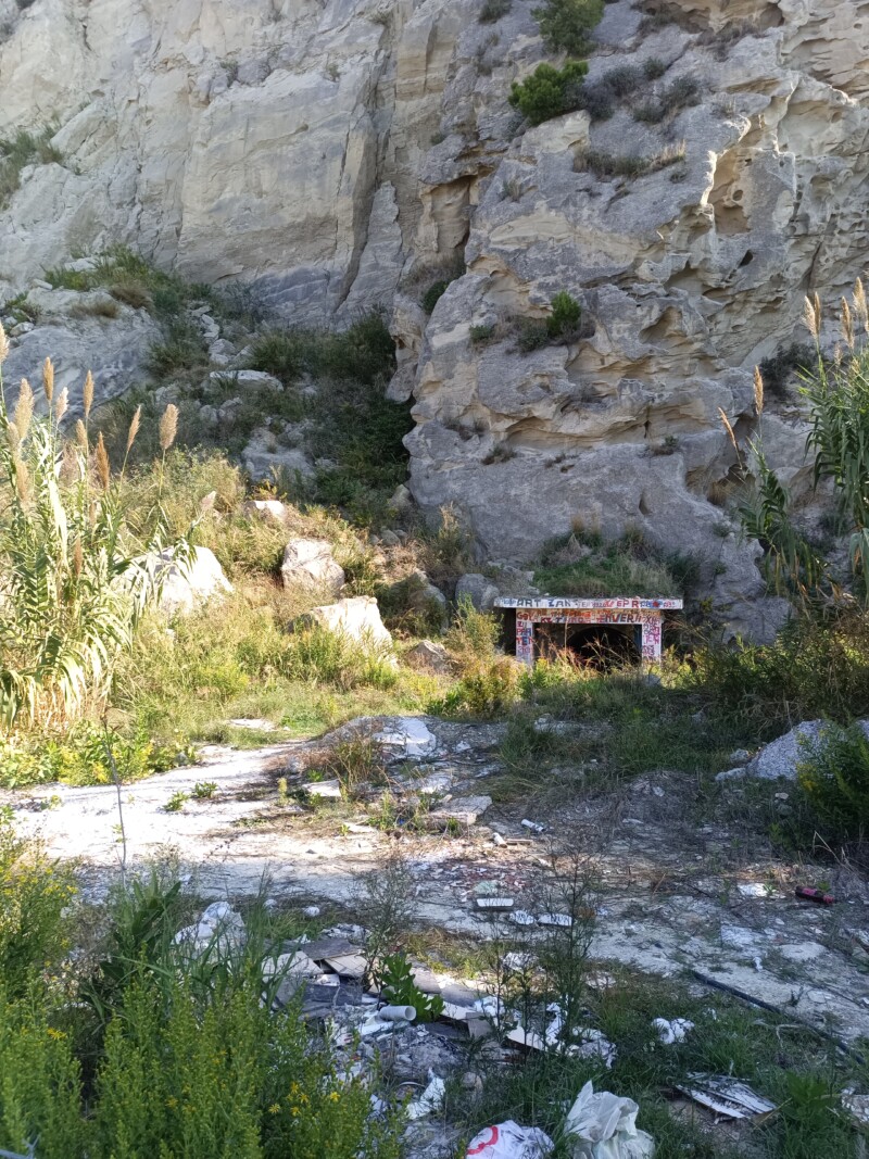 img_20251014_103123_713