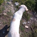 img_20251014_103400_251