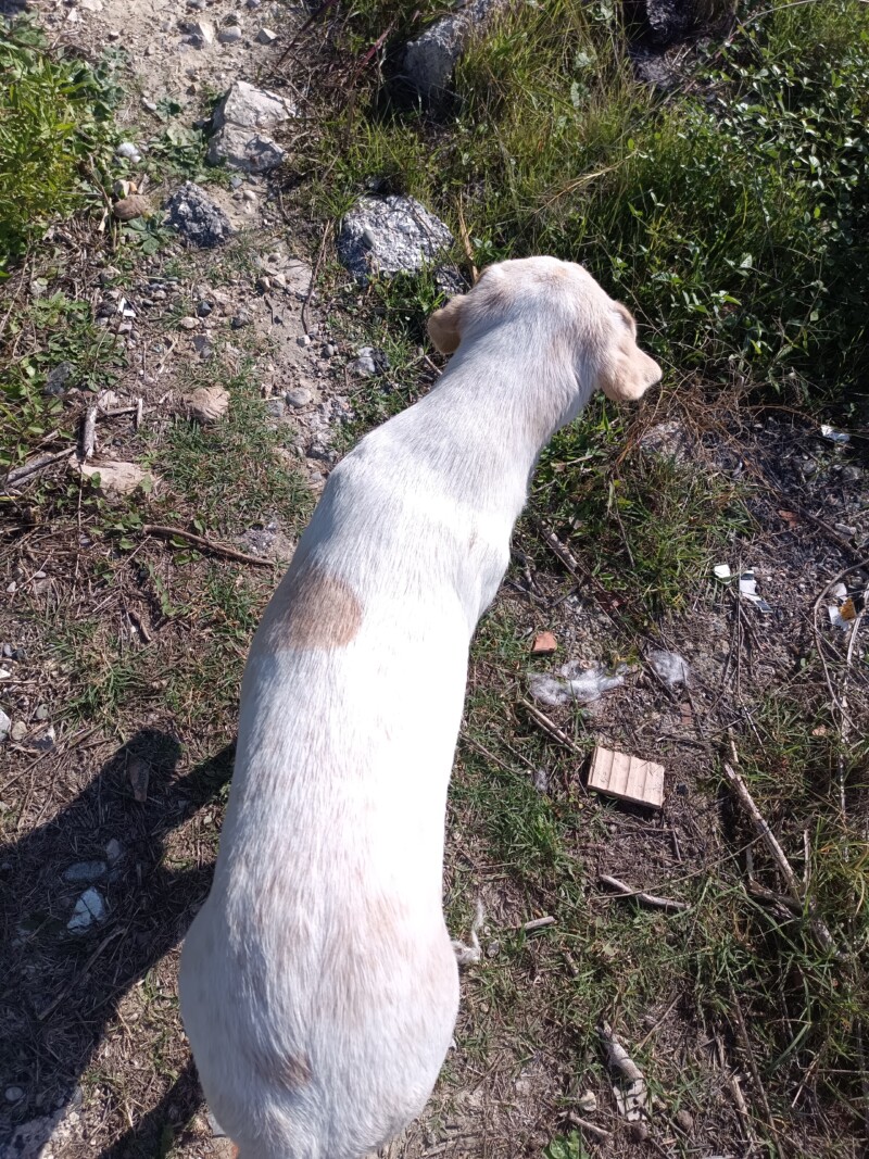 img_20251014_103400_251