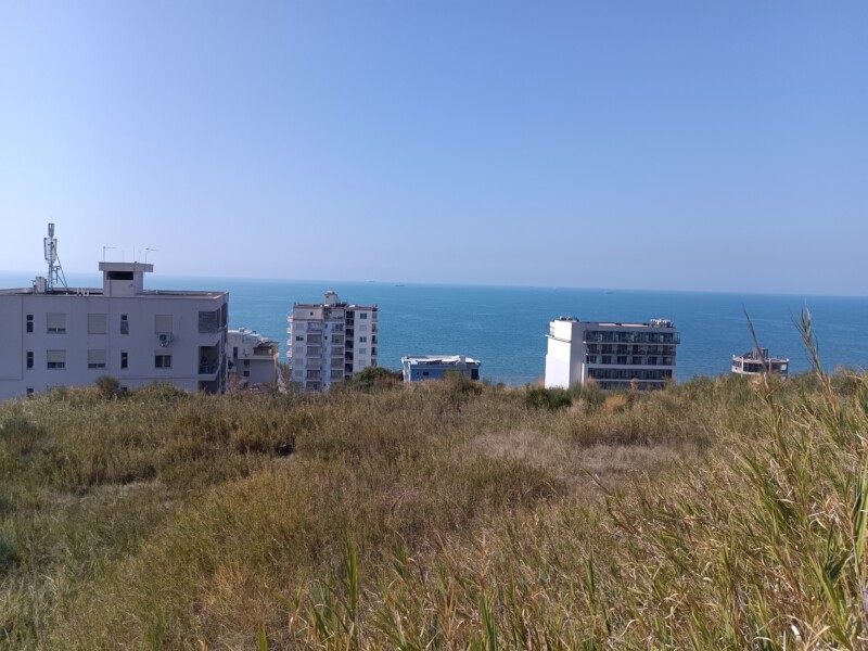 img_20251014_113728_333